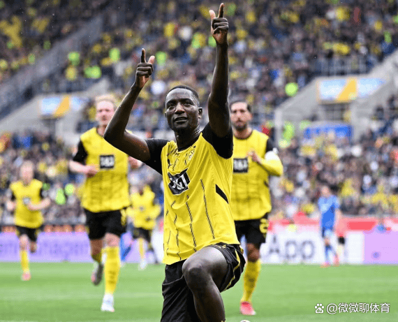 弗赖堡逆转胜霍芬海姆,挺进积分榜前列 弗赖堡逆转胜霍芬海姆,挺进积分榜前列